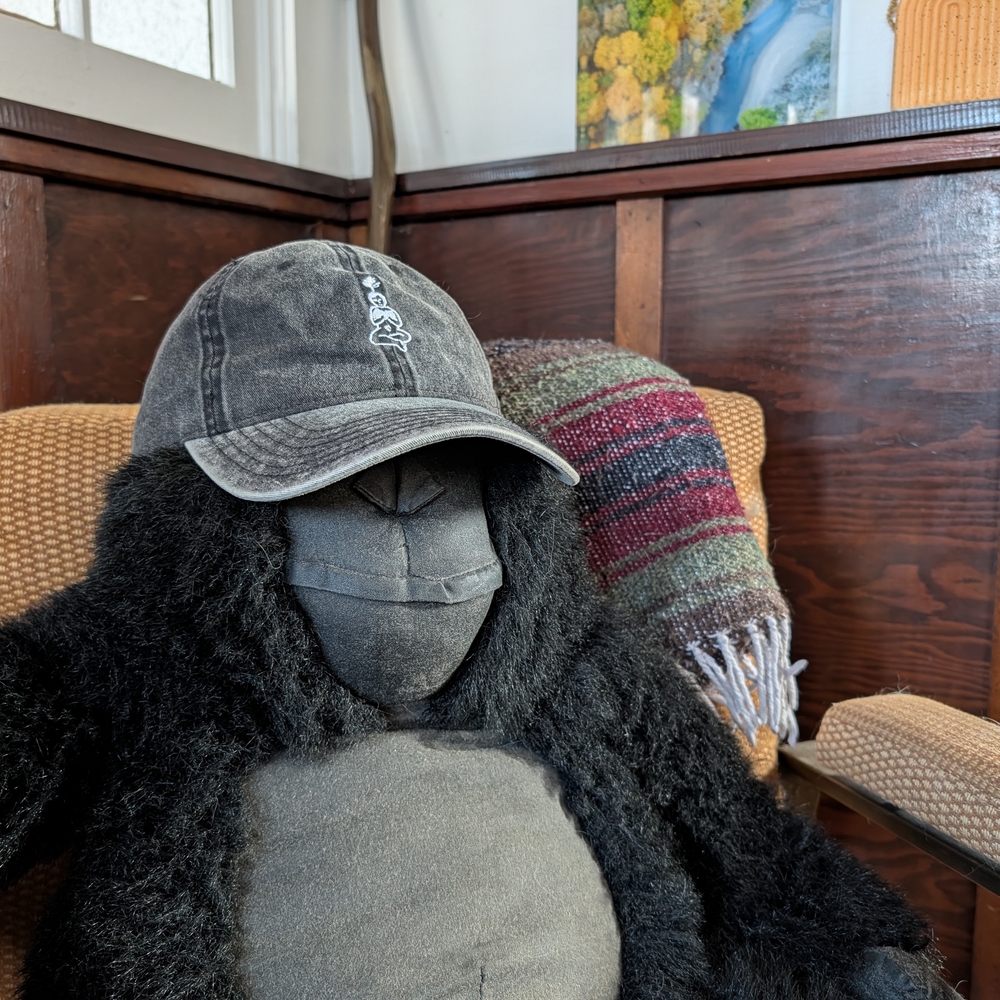 UNLEARN\RELEARN MUD\WTR Charcoal Hat